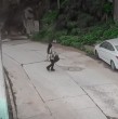 Una cámara de seguridad captó el momento exacto del derrumbe en el Cerro Yungay de Valparaíso. El deslizamiento dejó un automóvil sepultado y afectó una vivienda donde viven entre 10 y 11 personas.