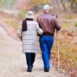 No todas las personas deben esperar hasta la edad legal para comenzar a recibir una pensión en Chile, ya que la normativa contempla algunas excepciones que permiten adelantar ese proceso. Conoce cuáles son los requisitos para acceder al beneficio.