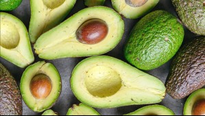 ¿Compraste paltas baratas?: Advierten por venta de fruto sin madurar tras paso del sistema frontal