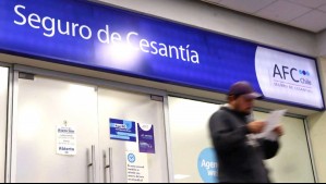 Seguro de Cesantía: ¿Cómo puedo revisar mi saldo?