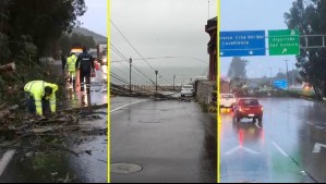 Sistema frontal: Caída de árboles y postes provocan interrupciones del tránsito y cortes de luz en Valparaíso