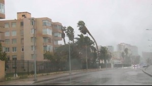 Intensas lluvias y fuertes ráfagas de viento generan afectaciones en La Serena