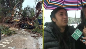 'Me empiezan a mandar fotos...': Profesora se entera por WhatsApp que un árbol había caído sobre su auto nuevo en La Serena