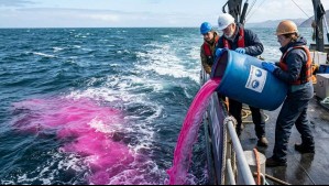 ¿Por qué el mar se tiñó de rosado? El experimento que vertió 16.500 galones de hidróxido de sodio en el océano