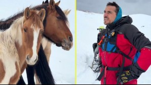'De los rescates más lindos que hemos hecho': Pangal Andrade participó en operativo para salvar a caballos atrapados en la nieve