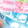 Revisa en detalle cuáles son los bonos que se entregarán durante agosto de este año. Se trata de beneficios dirigidos a las familias vulnerables, trabajadores y adultos mayores.