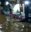 Las intensas lluvias que afectan a la región del Biobío provocaron el desborde de ríos e inundaciones en distintos sectores de la provincia de Arauco, situación que llevó a decretar Alerta Roja durante la tarde de este sábado.