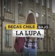 Mega Investiga accedió a un informe del Ministerio de Ciencia que expone graves irregularidades en el programa Becas Chile. Más de 90 mil millones de pesos se mantienen en cobro por el incumplimiento de 1.600 beneficiarios.