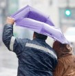 La Dirección Meteorológica de Chile emitió un aviso por viento normal a moderado con rachas de hasta 80 km/h para zonas de siete regiones del país. Revisa cuáles son y cuándo se daría el fenómeno.