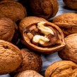 La denominada peste negra volvió a encender las alertas en la industria de las nueces. El gremio advirtió que la enfermedad podría afectar una parte importante de la superficie plantada, especialmente en el centro-sur del país.