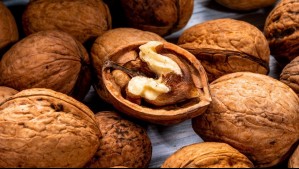 'Peste negra' genera preocupación en la industria de las nueces: Advierten riesgo para parte importante de los nogales del país