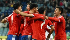 Mega y Mega Go son las plataformas oficiales de La Roja