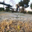 La DMC emitió una advertencia agrometeorológica por heladas entre Valparaíso y Biobío desde este viernes. Conoce las temperaturas mínimas pronosticadas para cada región.