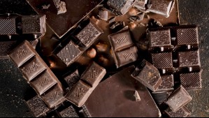 Empresa italiana quiere instalar una fábrica de chocolates en Renca: Inversión supera los US$50 millones