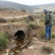 Las intensas lluvias dejaron al descubierto un histórico puente de piedra construido en 1926, el que permanecía oculto entre la vegetación en la región de Coquimbo. Revisa los detalles a continuación.
