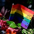 Senegal imputó a 71 hombres por \\\'actos antinaturales\\\', informó la fiscalía en momentos en que las autoridades del país africano intensifican la represión contra la homosexualidad.