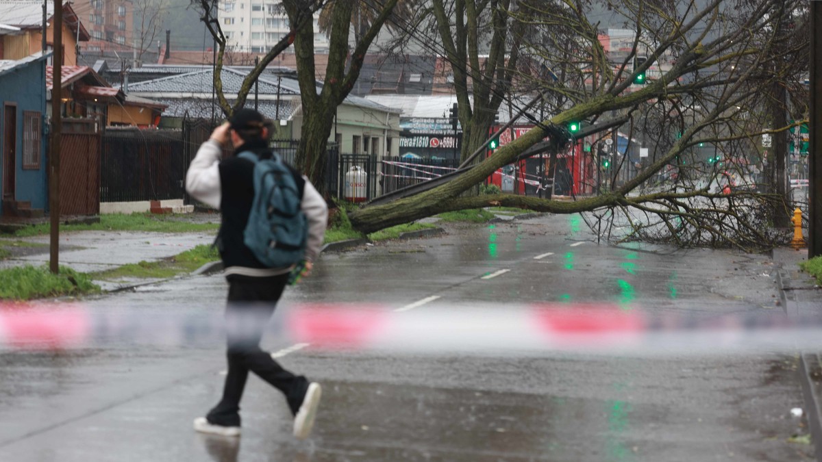 Meteorología emite aviso por vientos de hasta 90 km/h en diez regiones del país