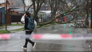 Incluye a la RM: Meteorología emite aviso por cinco días con rachas de viento de hasta 90 km/h en zonas de 10 regiones