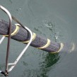 Google anunció tres nuevos cables submarinos en América y uno conectará Chile con Panamá y República Dominicana. Conoce para qué sirven y cómo reforzarán la conectividad.
