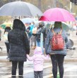 De acuerdo al pronóstico de la Dirección Meteorológica de Chile, en 14 regiones del país se esperan lluvias, tormentas eléctricas y vientos de hasta 80 km/h para este jueves 13 de agosto.