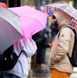 De acuerdo al pronóstico de la Dirección Meteorológica de Chile, se esperan lluvias y probables tormentas eléctricas en el país para este viernes 14 de agosto. En concreto, se trataría de 11 regiones en donde se presentarían ambos fenómenos.