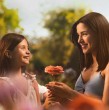 Conoce la fecha y horario confirmado para el capítulo final de El Jardín de Olivia en Mega, y entérate a qué hora se estrena la nueva teleserie de la tarde, La Baronesa.