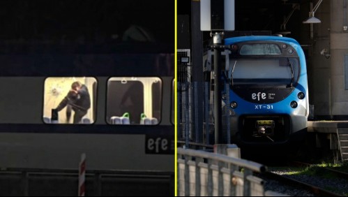 Video muestra que sujeto armado rompió ventana del tren de Valparaíso: Lo hizo tras realizar presunto asalto y atacar a pasajero