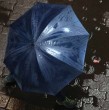 La Dirección Meteorológica de Chile emitió una alarma por precipitaciones intensas que afectarán a sectores del litoral y la Cordillera de la Costa de la Región de Antofagasta.