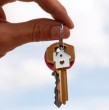 El leasing habitacional es un programa que permite acceder a viviendas nuevas o usadas de hasta 2.000 UF, monto que aumenta a 2.200 UF en determinadas regiones y zonas del país. Conoce quiénes pueden postular al programa,