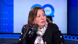 Paulina Vodanovic cuestiona la reforma de seguridad del Gobierno: 'Jurídicamente tiene varias aberraciones'