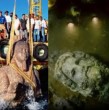 La antigua Thonis-Heracleion fue durante siglos el mayor puerto comercial del Egipto faraónico. Un cataclismo la hundió en el Mediterráneo. Un arqueólogo francés la buscó durante años hasta que un magnetómetro reveló su ubicación exacta.