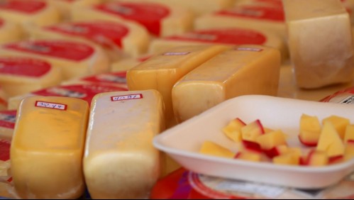 Minsal emite Alerta Alimentaria por presencia de Listeria en producto lacteo