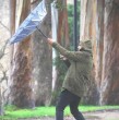 La Dirección Meteorológica de Chile emitió un aviso por viento moderado a fuerte entre Coquimbo y Biobío. Las rachas llegarían hasta 70 km/h durante la próxima semana.