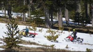 Turistas causaron daño irreparable en la Reserva Nacional Malalcahuello: Ingresaron con motos de nieve y dañaron araucarias