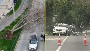 Fuertes vientos provocan emergencias por árboles y postes caídos en Santiago: Jaime Leyton advierte por ráfagas de más de 60 km/h