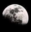 Simulaciones de la NASA revelan que hongos y bacterias terrestres pueden resistir en los polos de la Luna. Científicos advierten que estos polizones podrían alterar las futuras muestras tomadas en terreno lunar.
