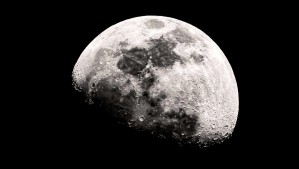 NASA descubre que un moho negro puede sobrevivir en la Luna