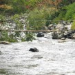 Conmoción ha causado la muerte de un estudiante universitario mientras hacía rafting durante una actividad académica en el río Liucura de Pucón, región de La Araucanía.