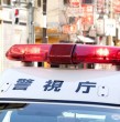Conoce detalles sobre el millonario robo protagonizado por dos ciudadanos chilenos en Japón. Los delincuentes sustrajeron unos relojes de lujo para posteriormente huir, pero más tarde fueron localizados.