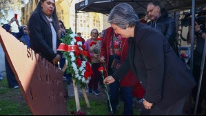 Jeannette Jara y eventual viaje de Kast a foro político: 'Le haría un llamado al Gobierno a concentrarse en combatir el crimen'