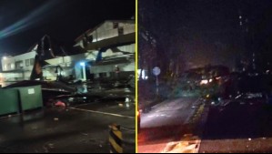 Caída de árboles y postes y voladura de techumbres: Videos muestran estragos generados por vientos tornádicos en Yungay