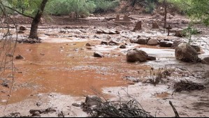 Al menos 15 personas estarían desaparecidas tras inundación repentina en el Gran Cañón en EEUU