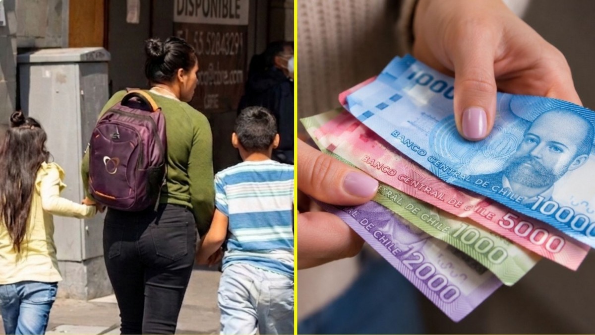 Bono de protección: ¿Cuándo se reajusta el aporte para dueñas de casa?