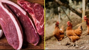 Suspenderán importación de carne de Brasil: La radical decisión que adoptó la Unión Europea por el uso de antibióticos