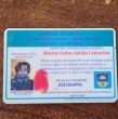 Conductor fue detenido en la Ruta 5 Norte tras asegurar que era diplomático de la inexistente República de Lemuria y negarse a entregar su identificación a Carabineros.