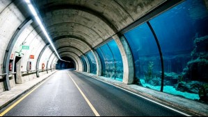 Un túnel pasará bajo el mar en el Estrecho de Magallanes: El proyecto chileno entrará en fase de estudio de factibilidad
