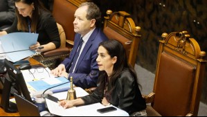 Gritos y desalojo: Senado suspende discusión de Sala Cuna Universal tras incidentes en las tribunas