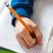 Revisa en detalle cuál es el monto del Bono Logro Escolar que reciben los alumnos con mejor rendimiento. Este es un beneficio que busca incentivar el esfuerzo académico.