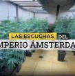 Mega Investiga reveló escuchas, cultivos y antecedentes de la Operación Imperio Ámsterdam, que indaga una presunta red de tráfico de cannabis bajo la fachada medicinal.