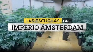Operación Imperio Ámsterdam: El rol de Camilo Huerta y las escuchas de la presunta red de cannabis medicinal